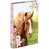 Box na sešity A5 Kůň
