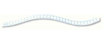 Pravítko 30cm tištěné