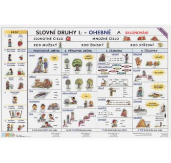 Slovní druhy I. - ohebné a skloňování časování